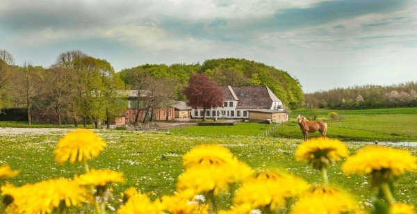 FerienhofBendixen23
