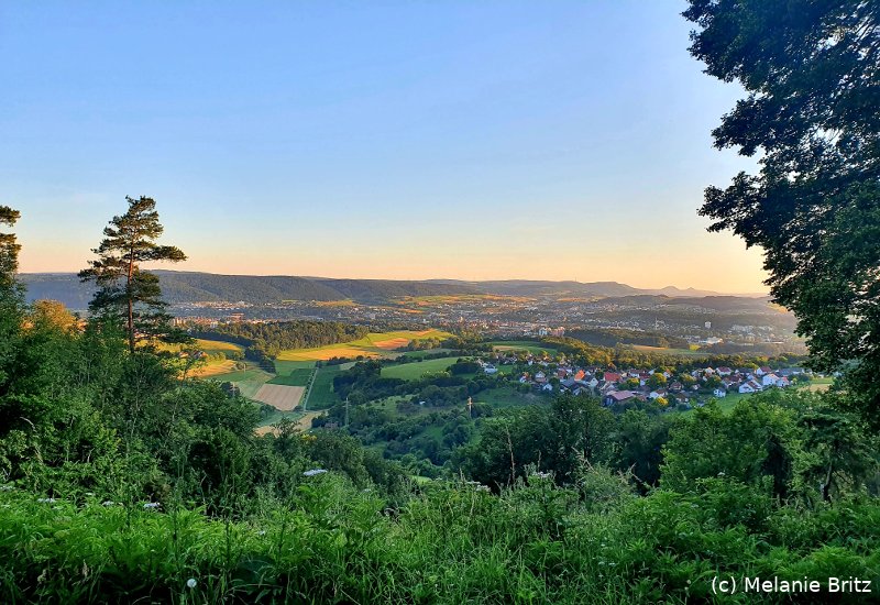 aalen211